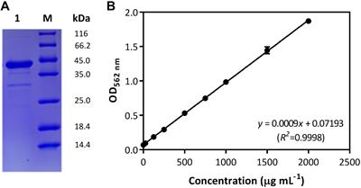 Synergistic Degradation of Pyrethroids by the Quorum Sensing-Regulated Carboxylesterase of Bacillus subtilis BSF01